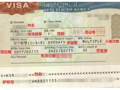 2024年如何办理去韩国签证