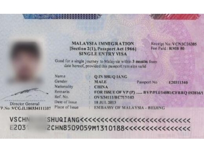 马来西亚电子签证单次入境