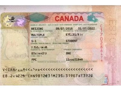 如何申请加拿大TN1签证