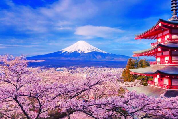 日本个人旅游签证年收入不满10w(日本签证年收入要求)